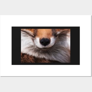 Fox Face Posters and Art